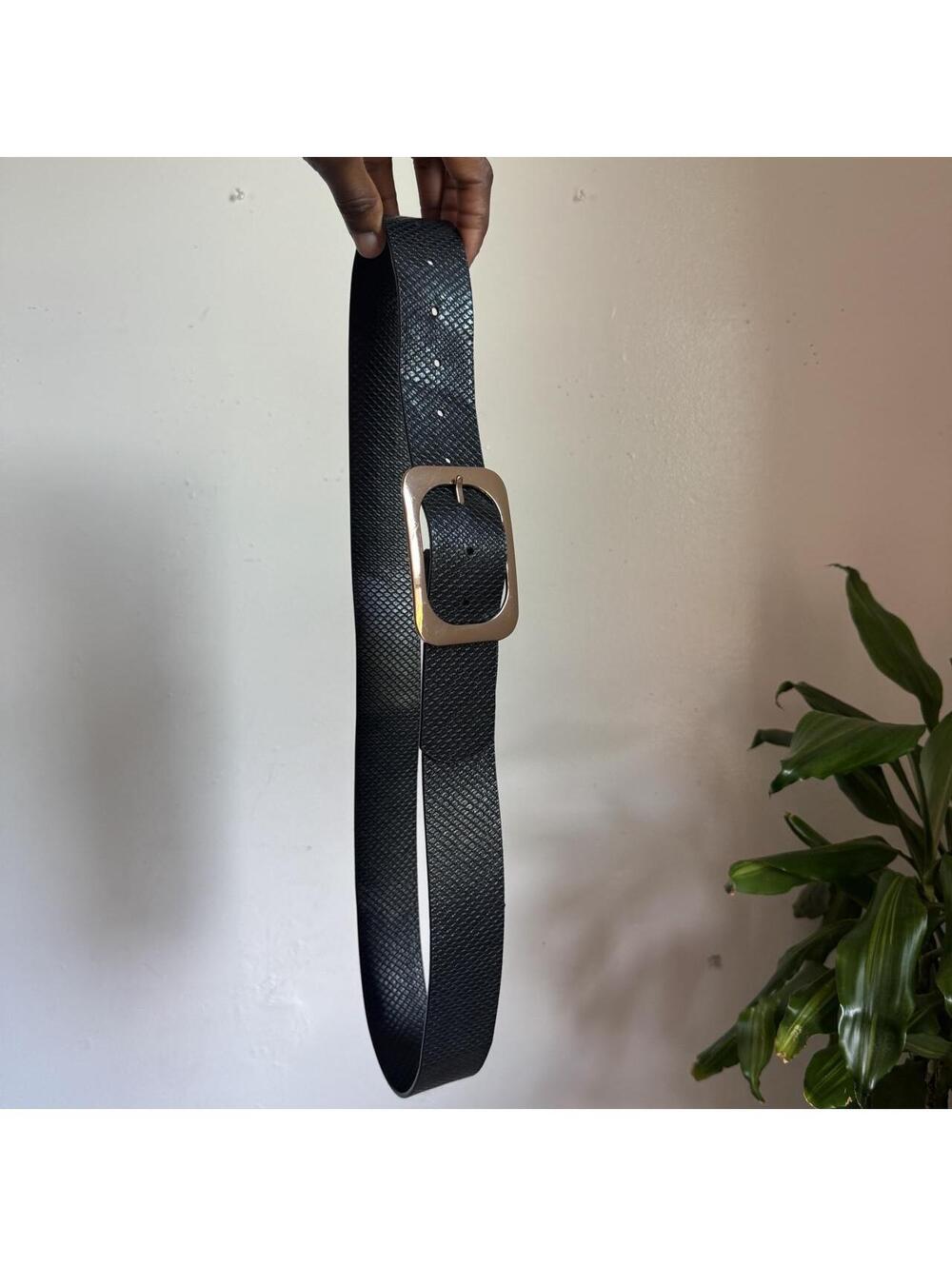 Office Siren Black faux Snakeskin Wide Belt Gold Oversized Buckle Fits L-XL